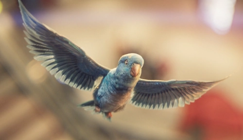 Go Outdoors | TV Commercial